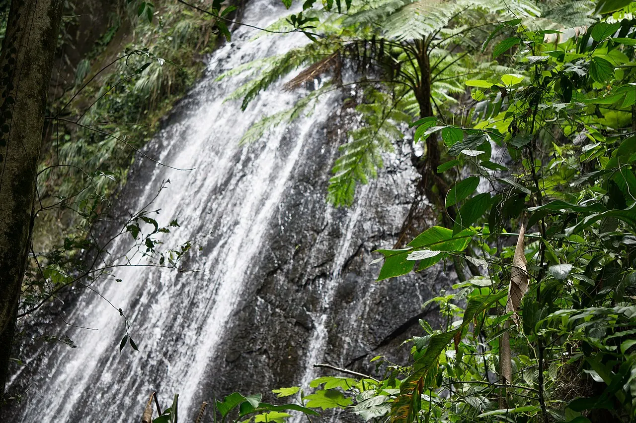 La Coca Falls in El Yunque National Forest