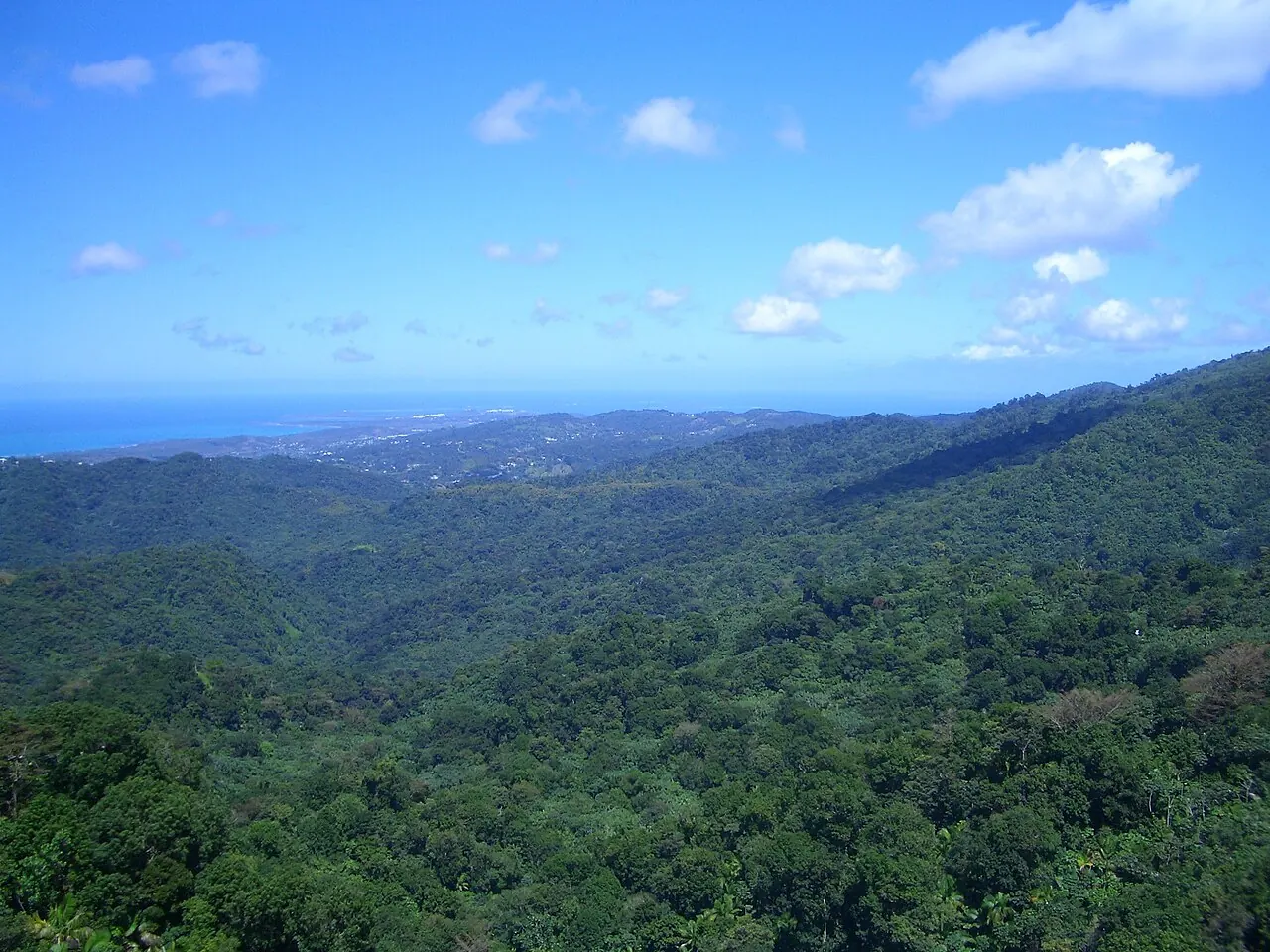 The view over the rainforest from Yokahu Tower, El Yunque