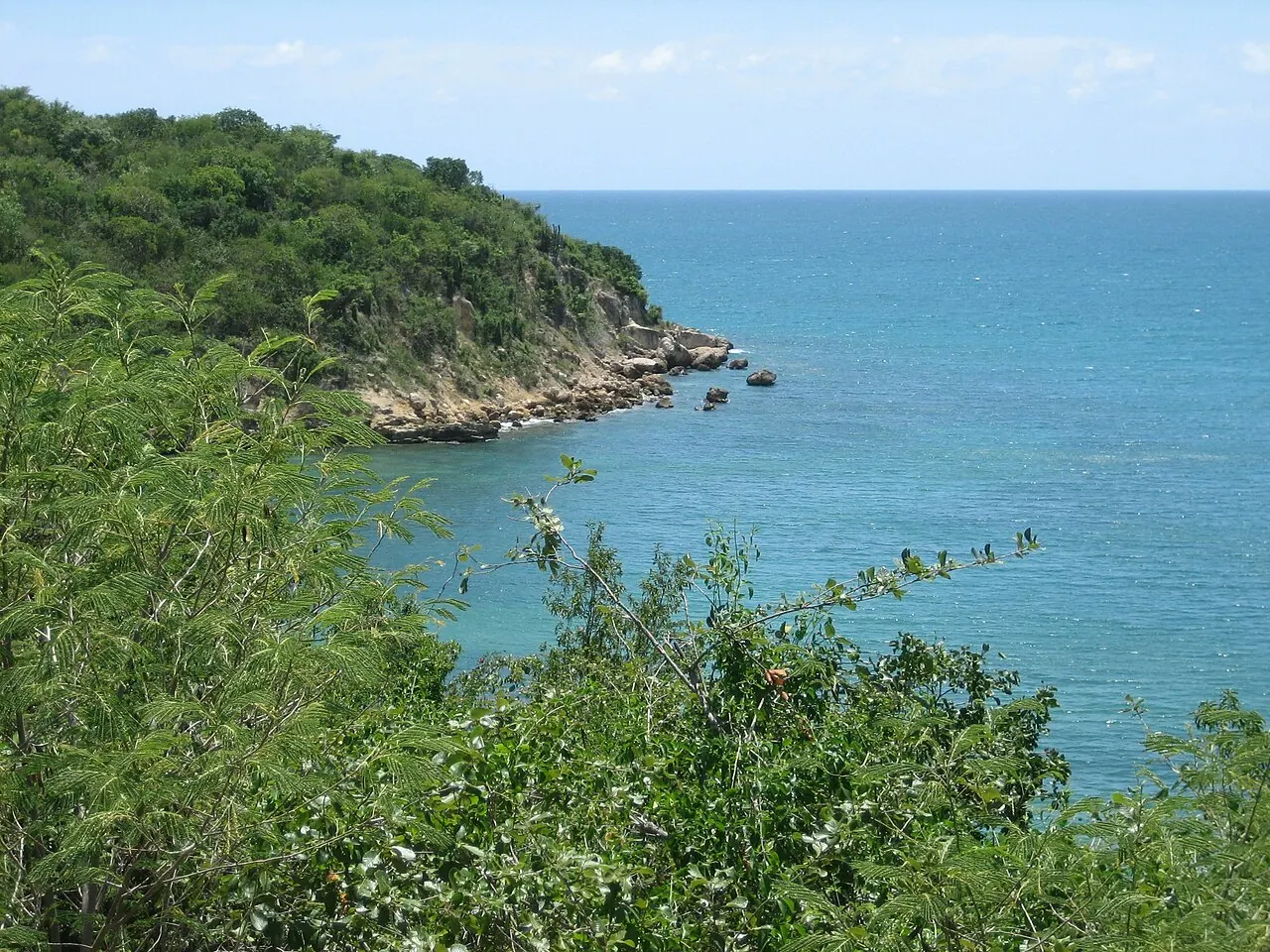 The coast of the Guánica State Forest